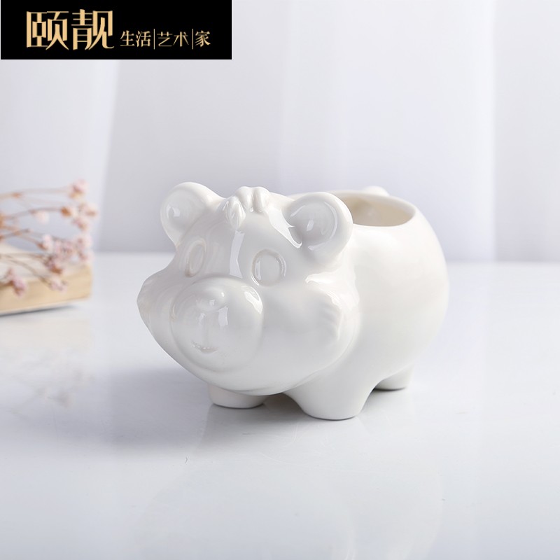 Express cartoon of fleshy flower pot the plants white ceramic creative contracted a rectangle special offer a clearance package mail