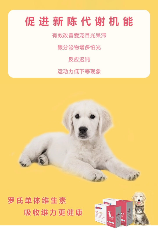 Anjin pet Wei Lijian vitamin tổng hợp b bột mèo chó rối loạn tiêu hóa viêm miệng nhật thực nuôi dưỡng lông - Cat / Dog Health bổ sung