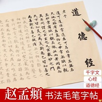 Zhao Mengyi Xingshu calligraphy brush copybook red copying moral scripted daring bar monument thousand characters Luo Shenfu handwritten Heart Sutra Buddha
