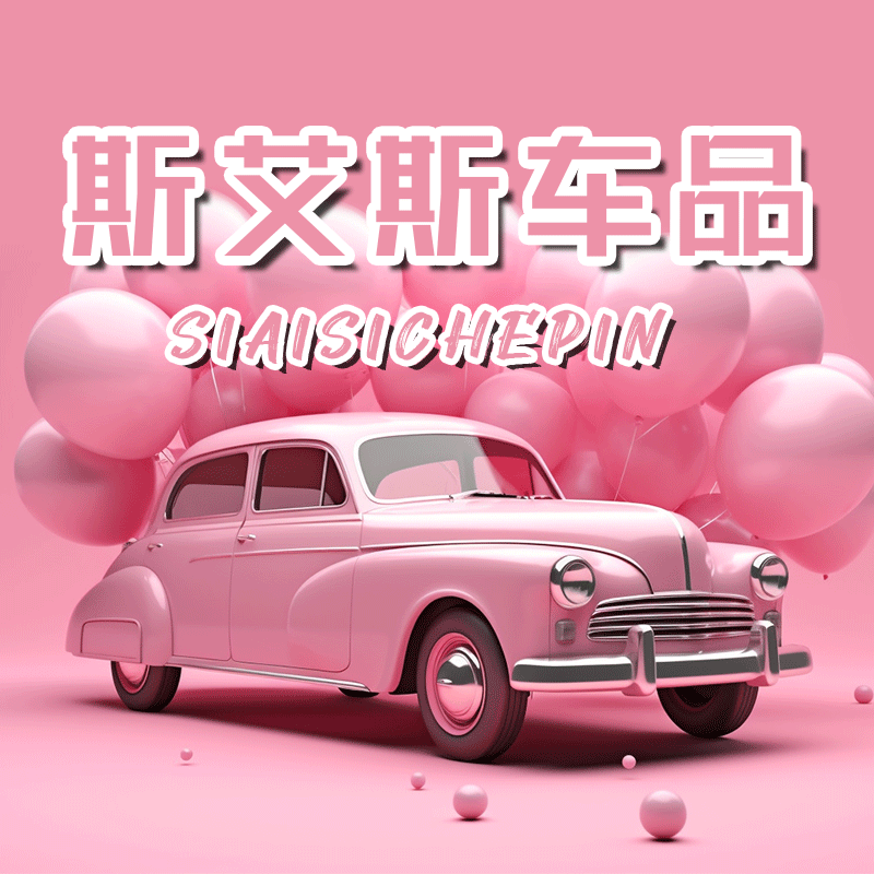 斯艾斯车品专营店