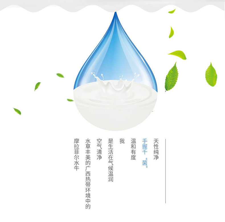 皇氏乳业摩拉菲尔醇养酸牛奶12盒