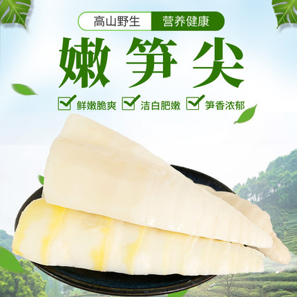远古山夫嫩笋尖新鲜野笋清水笋尖火锅食材500g*2包免发泡丝无老根 第75张