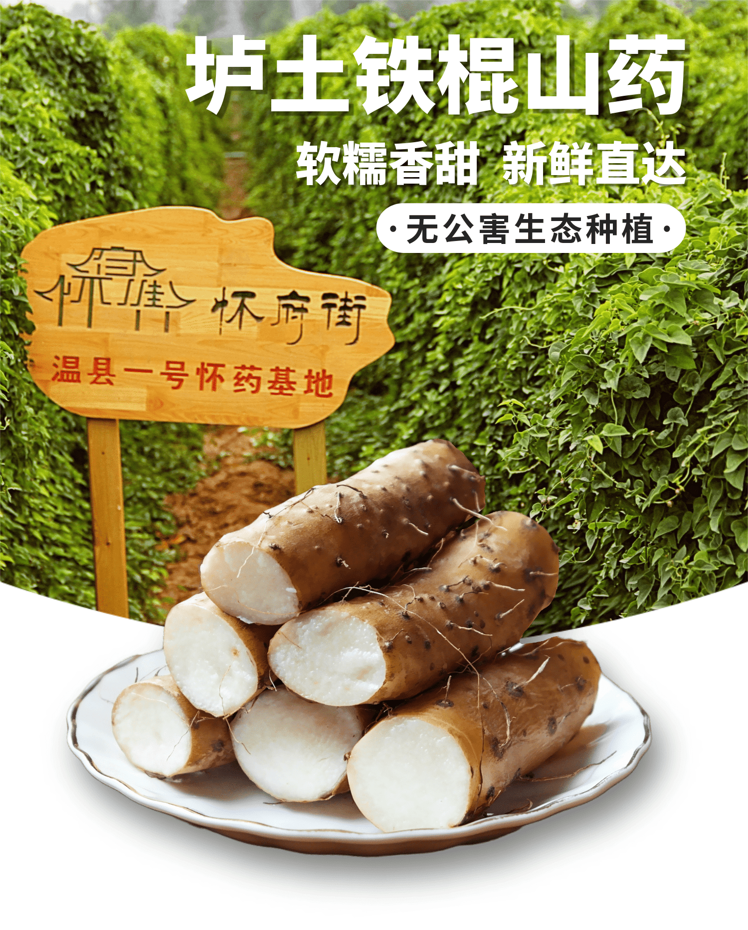 药食同源 怀府街 河南焦作温县铁棍山药 净重5斤 图2