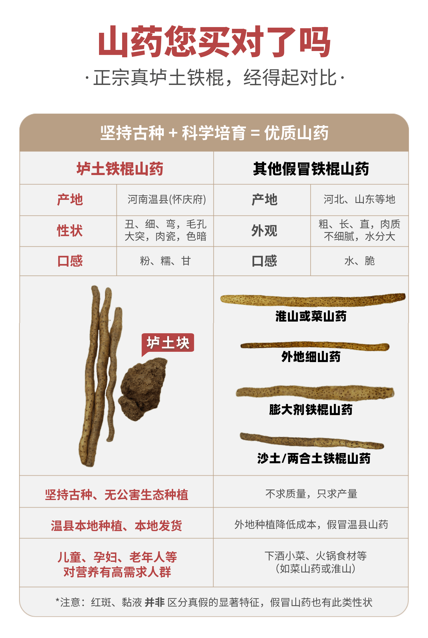 药食同源 怀府街 河南焦作温县铁棍山药 净重5斤 图5