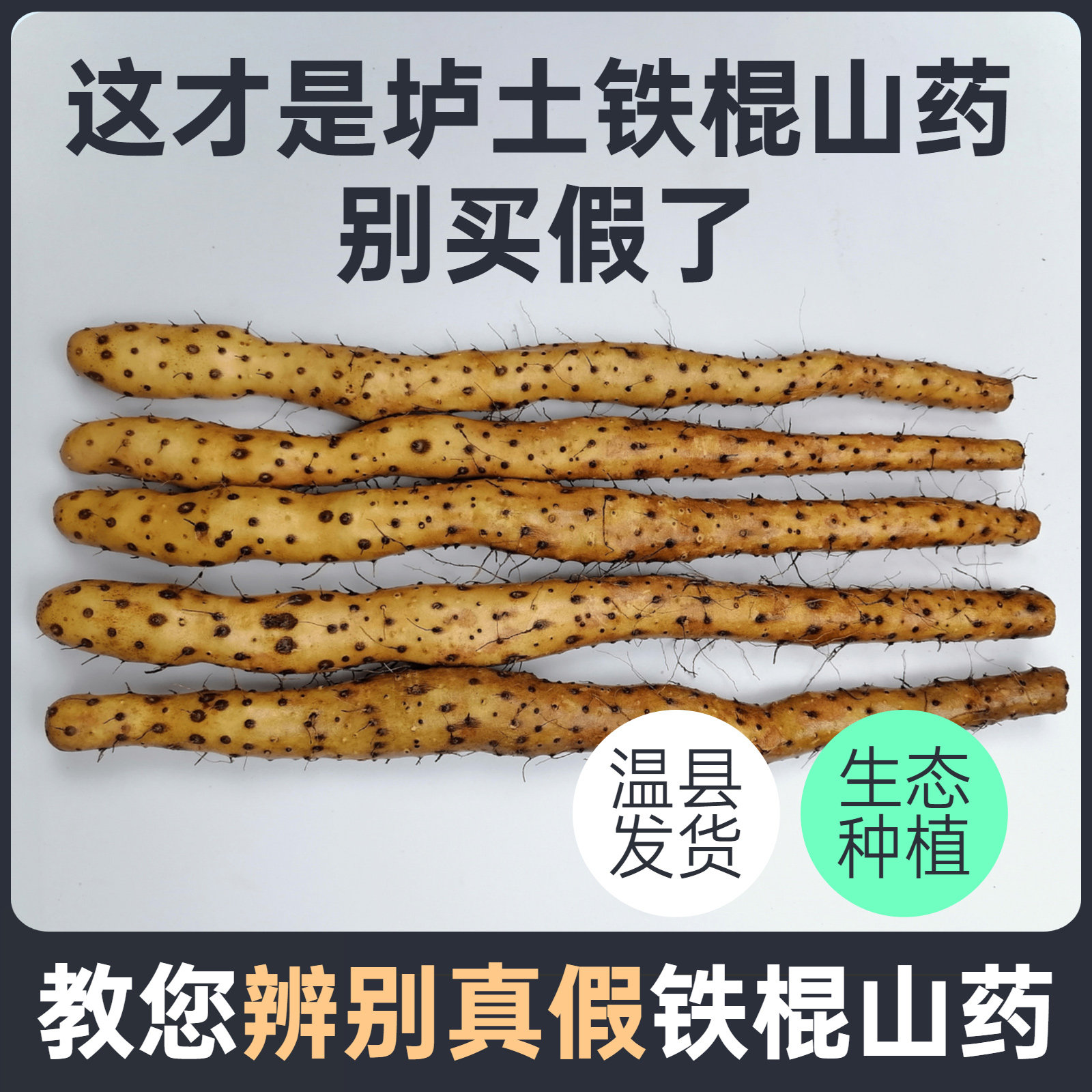 Zhengzong Earth Iron Stick Yam Henan Jiao Zuowen County Fresh 5 catties of Huai Mountain Drug Wight (Yan Electrie Nourishing Clothing)
