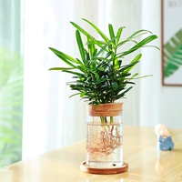 Бутылка мугай+песня Luo Han