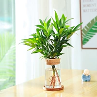 Бутылка Muyi+бамбук и кипарис