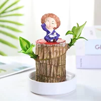 Lucky Wood 6 см+горшок+Grurt