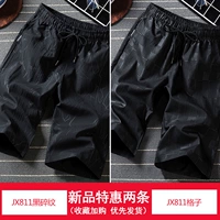 JX811 Dark Fragment+JX811 GRID
