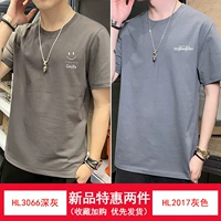 HL3066 Deep Grey+HL2017 Grey