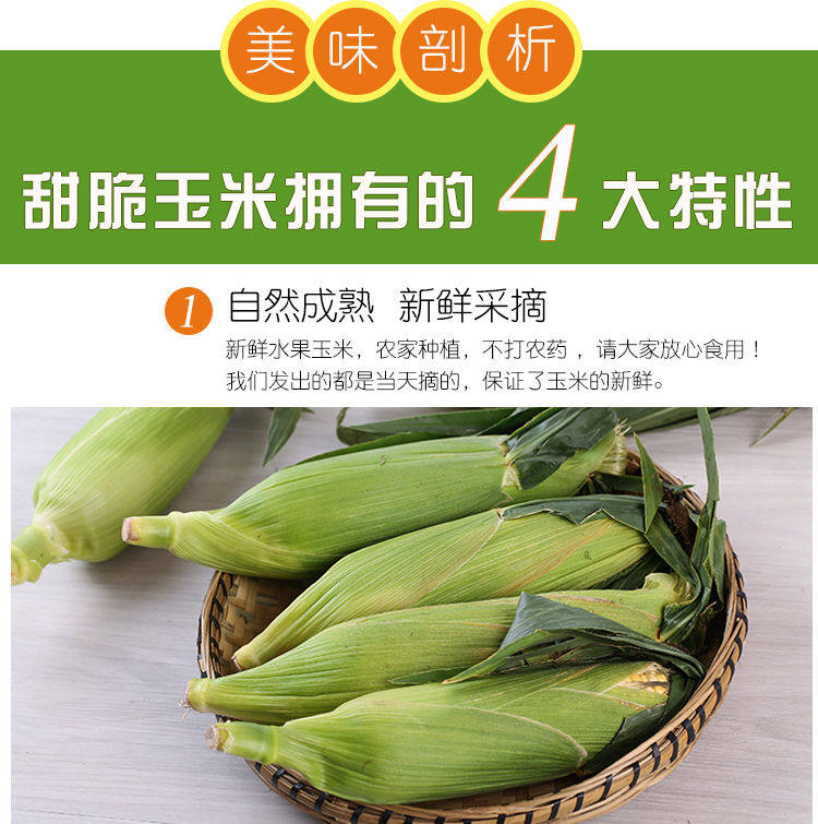 金吉圣 云南水果玉米 9斤 图7