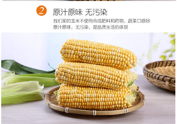 金吉圣 云南水果玉米 9斤 图8