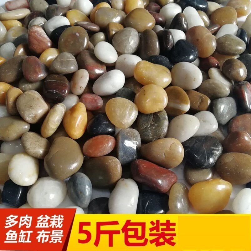 The Pebble Pool in the bottom of the fish tank stone paved with white paved flowers and small breathable courtyard landscaping decoration