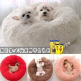 Собачья гнездо кот гнездо осень и зимняя голуба