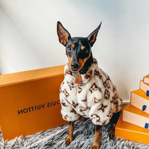 Pets puppies Winter style clothes kitty New Year teddy Bears Snow Naressa Moyer Warm Hair Clothes