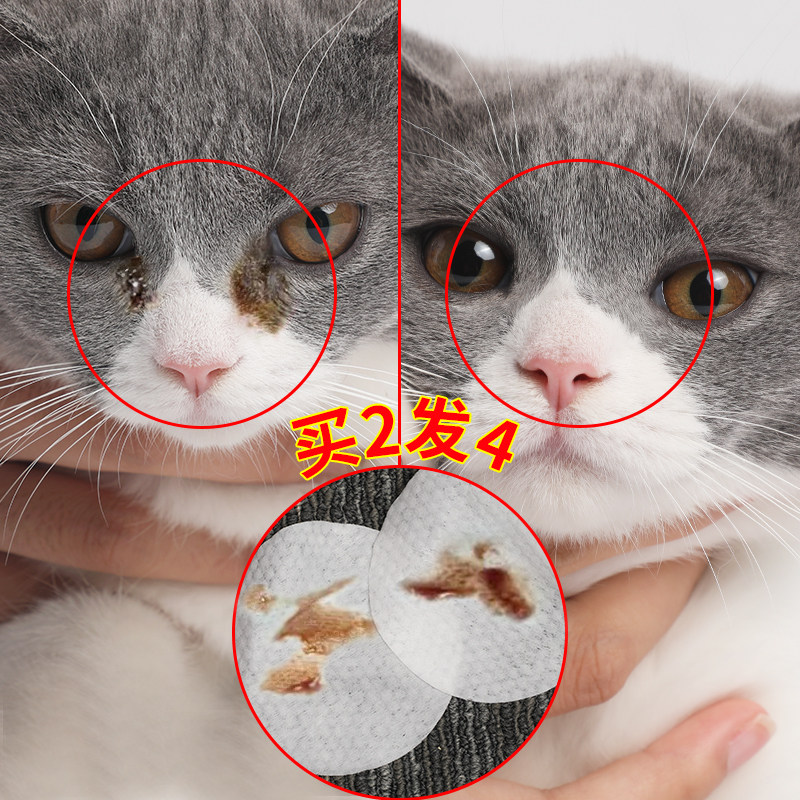 Japanese KOJIMA Pet Cat to Tears Scark WipedoDog Garfi Cat Eye Cleaning Products