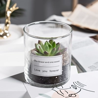 Белый Пион (цилиндрический стакан + белая наклейка)