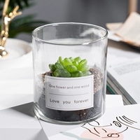 Crystal Jade Dew (цилиндрическое стекло + белая наклейка)