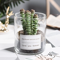 Денежная веревка (цилиндрический стакан + белая наклейка)