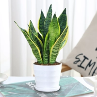 Tiger Pilan 30cm3 (нить белый белый цвет)