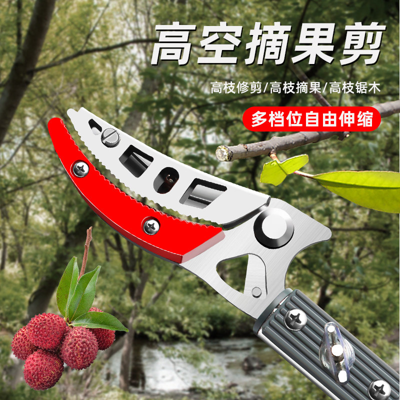 Fruit Pictor Fruit Branch Scissors Reduced High-altitude Sheep Dragon Eye Mountain