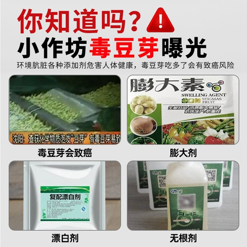 Карабкая из фасоли ростки ростки с горшками -ростки, саженцы, саженцы, артефакты ростки фасоли, домашнее вылезное выращивание гидропонных овощей