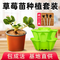 Cream strawberry seedlings planting pot pots Multi-layer vegetable artifact Family balcony four seasons with soil with pots Edible seedlings