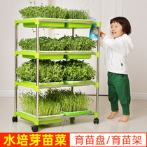 Bean sprout sprout pot Sprout vegetable nursery tray Paper planting vegetables soilless cultivation hydroponic vegetables Bean sprout planting plate