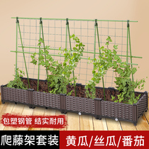 Grape climbing pergola Cucumber bracket rod loofah tomato Balcony planting vegetables Outdoor plants Vegetables garden flower rack