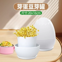 Банка с ростками фасоли