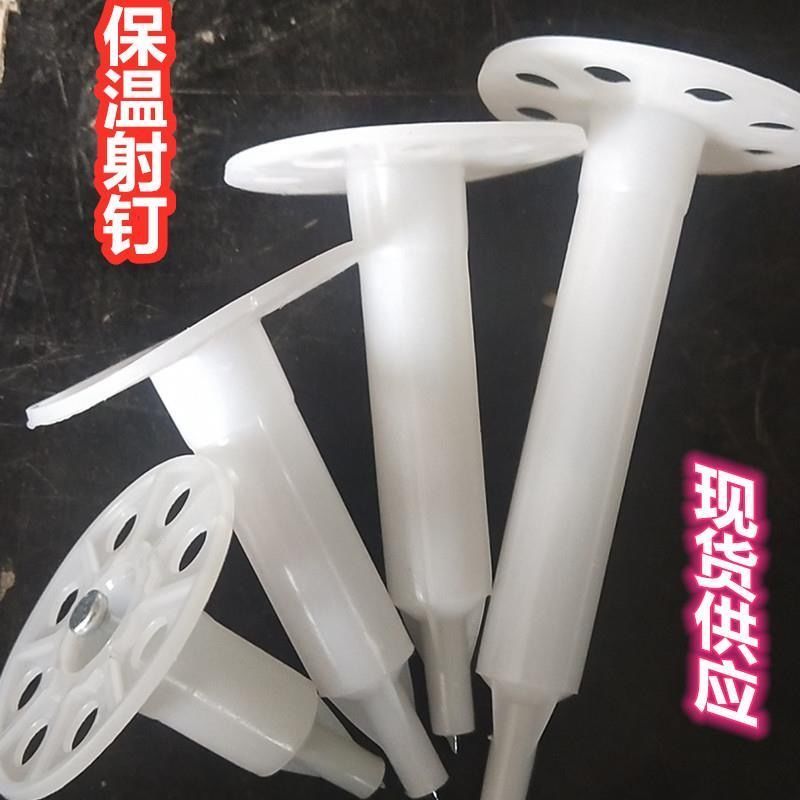 Fixed Nails Flatulled Iron Sheet Insulation Nails Iron Nails External Wall Insulation Shooting Nails Glue Wire Mesh Hanging Mesh Anchorage Nails