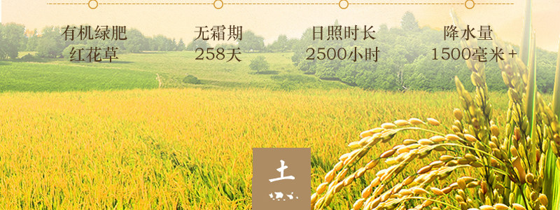 凌代表 再生稻大米 南方长粒香米真空包装 10斤 图10