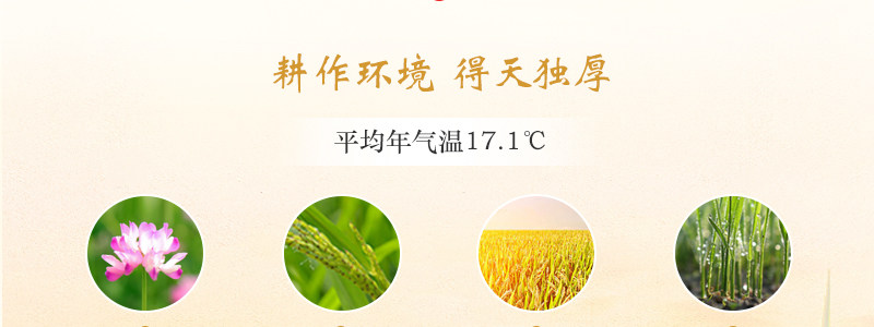 凌代表 再生稻大米 南方长粒香米真空包装 10斤 图9