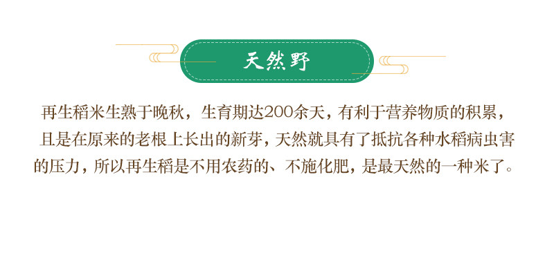 凌代表 再生稻大米 南方长粒香米真空包装 10斤 图5