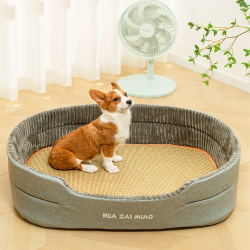 Gouqun Four Seasons Common Summer Pet Gnes