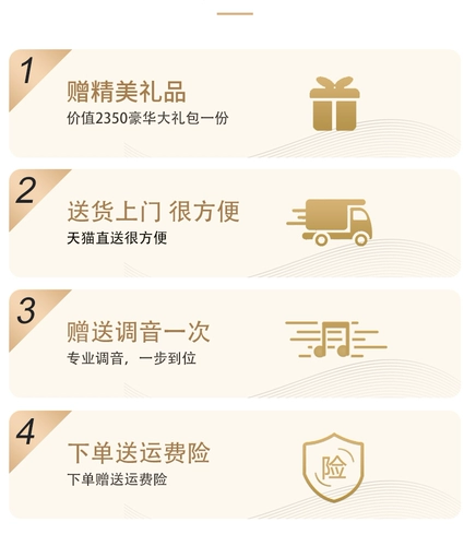 Профессиональное элитное пианино для взрослых, подходит для начинающих, Германия