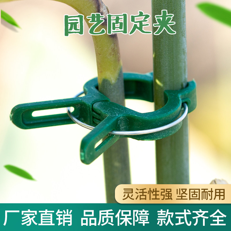 Garden clip plant branch fixed clip gardening flower Phalaenopsis bracket clip plastic gardening tool clip