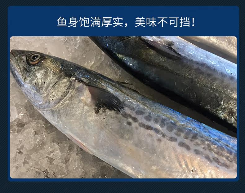 Подробная информация о лошади Mackerel_10.jpg