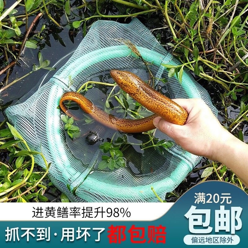 Upgraded version Yellow eel Eel Cage Clay Loach Yellow Eel Cage Catch Eel Cage Catch Eel Nets eel New water Drift