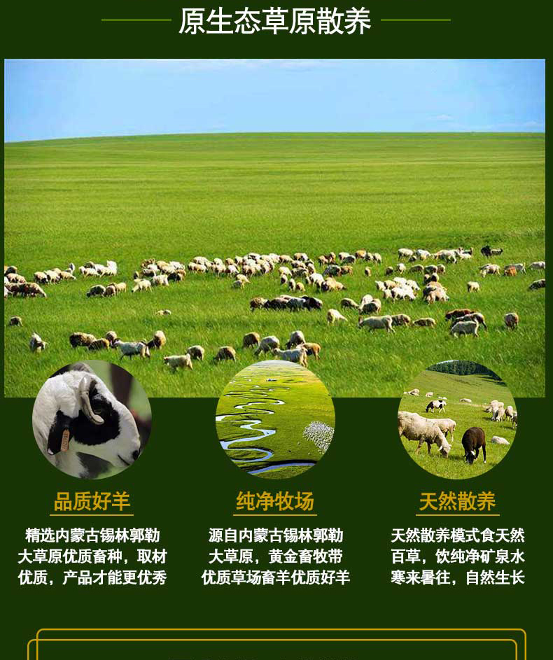 内蒙古锡盟 乌珠穆沁 6月羔羊羊蝎子 4斤 图2