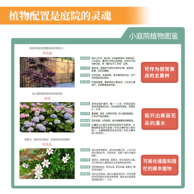 Super Practical Small Courtyard Landscape Design, Courtyard Design Techniques Showcasing Classic Cases, Detailed Analysis of Terrace Park Garden Flower Design, Home Gardening and Landscaping Designer's Courtyard Landscape Design Book