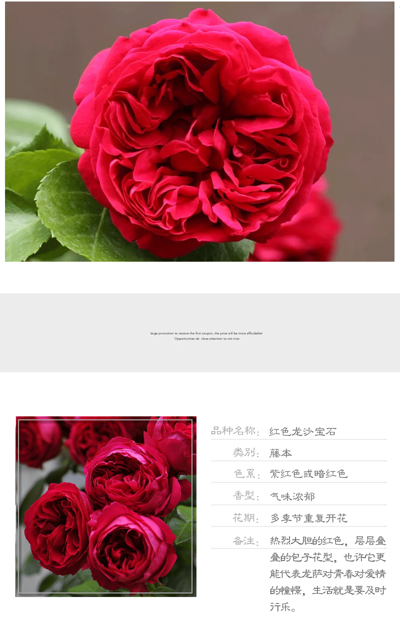 gm6WifKnzdTvlDvQUnfRc4wHTBlAZiIPKQC4