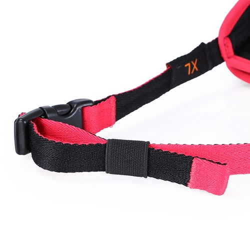 Корпус собаки анти -воздушная собачья рта охватывает большие собаки анти -планом пищи и золотистого ретривера.