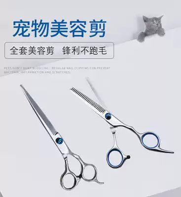 Pet Beauty Scissors Shearing Professional Hairdressing Beauty Tool Set Decoration Hair Shears Teddy Bears Medium Small Dog