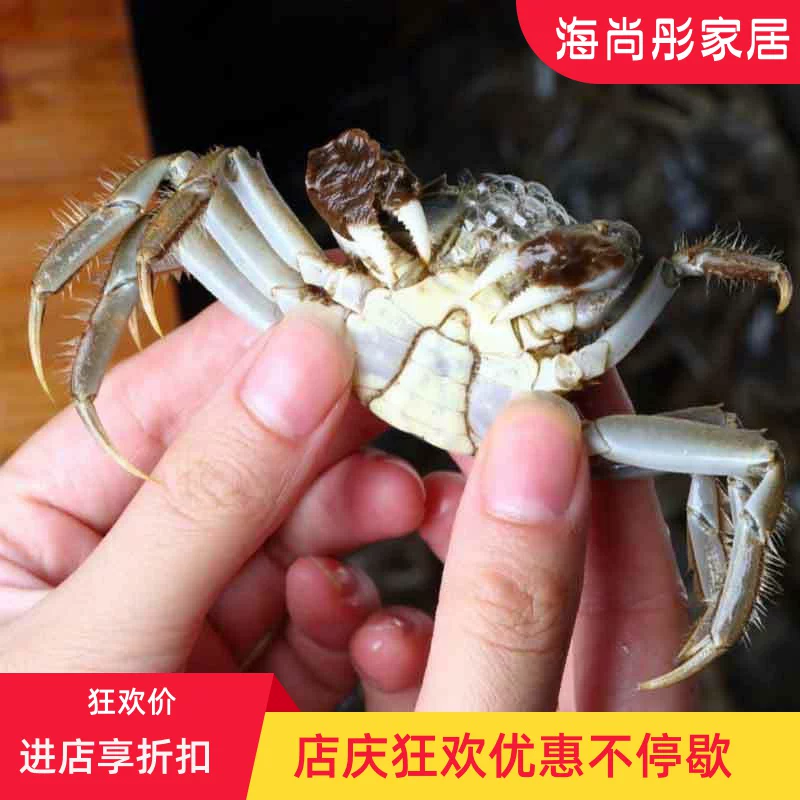 [盘锦河蟹鲜活1一元蟹香辣蟹二元现货醉蟹六月黄2小螃蟹稻田大闸蟹]