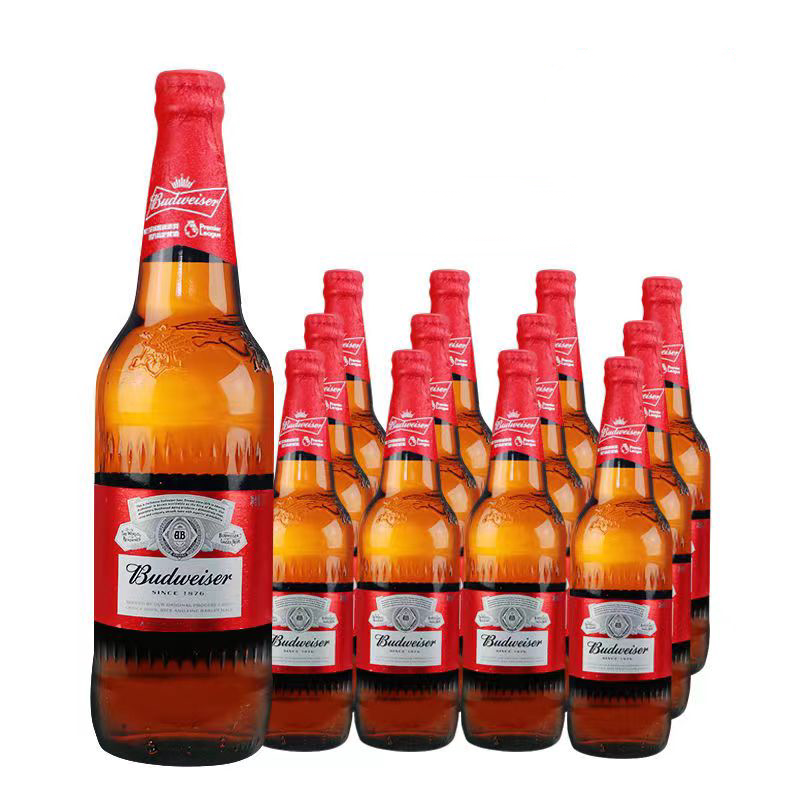 科罗娜啤酒多少钱一瓶？吐血整理的零售价指南！