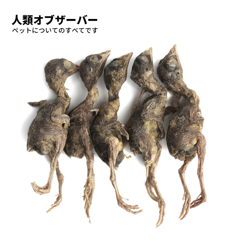 Human freeze-dried quail cat snacks dog snacks raw bone meat dried cat dried meat pet cat kitten food nutrition