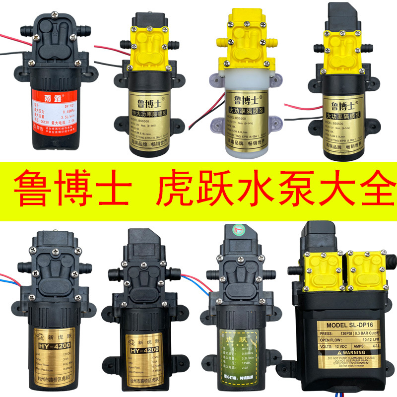 Electric Sprayer High-Pressure Pump 12V Motor Accessories Universal Sprayer High-Power Dual-Core Water Pump