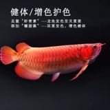 Сквахивание Арованы, Серебряная Арована Корм, Золотая Рыба Фуд крупный красная рыба Арована кормит рыб