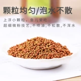 Наблюдение за наградами специально кормить золотую рыбку небольшие гранулы, золотисто -рыба